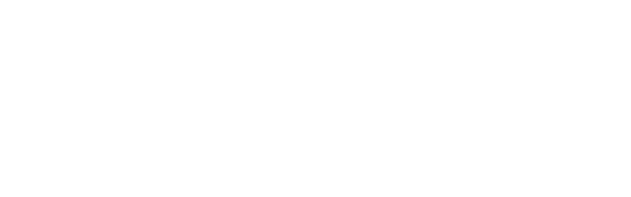 Nav Nidh Real Estate LLC